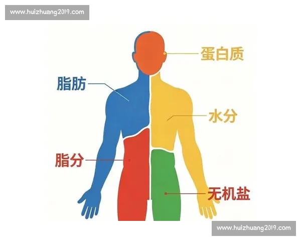 科学体脂管理全攻略助你健康减重塑造理想身形